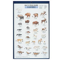 Mac's Field Guides: North American Land Mammals by Craig MacGowan