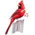 Madd Capp Puzzle: I AM Cardinal