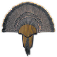 Hunter's Specialties Turkey Tail & Beard Mount Kit