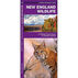 New England Wildlife: A Folding Pocket Guide to Familiar Species by James Kavanagh & Waterford Press