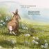 Hop Onward Rabbit Rabbit: A New England Cottontails Journey by Tonya Shevenell