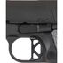 Dan Wesson ECP 9mm 4 9-Round Pistol